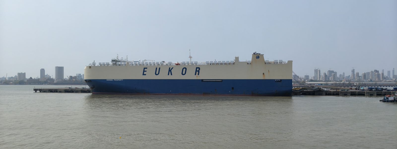 RoRo Vessel – IMDG Code Compliance Centre