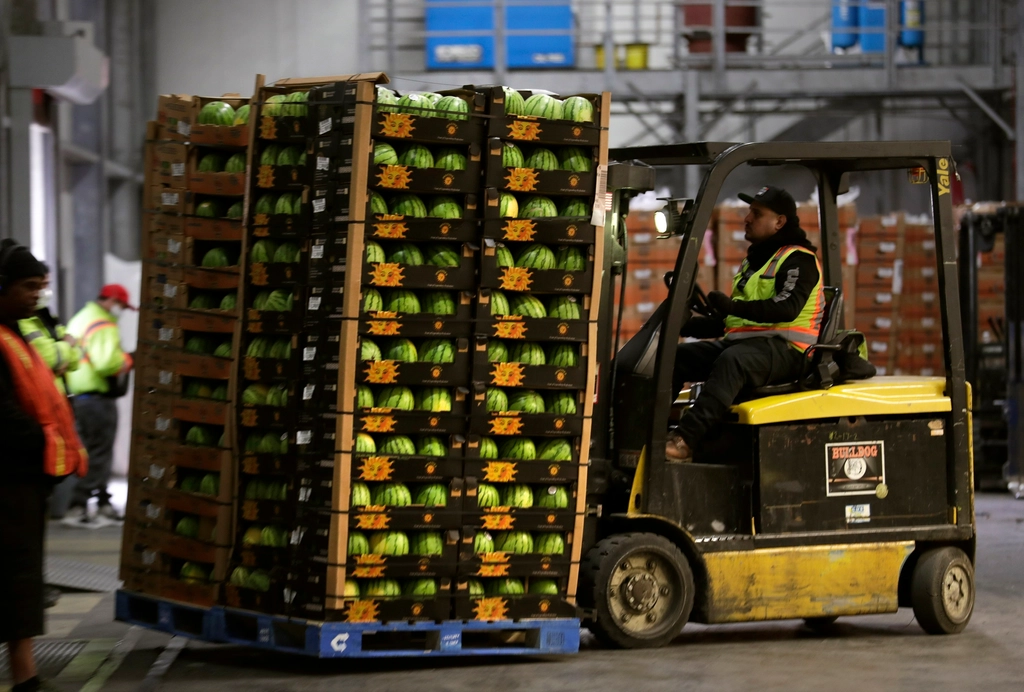 forklift operator shuttles pallet loaded